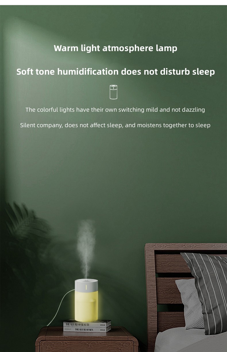 Humidificador (10) 