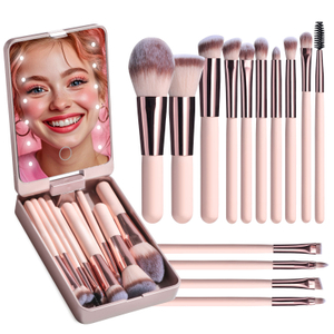 Sistema de cepillos cortos portátiles del maquillaje 14pcs con el espejo recargable 